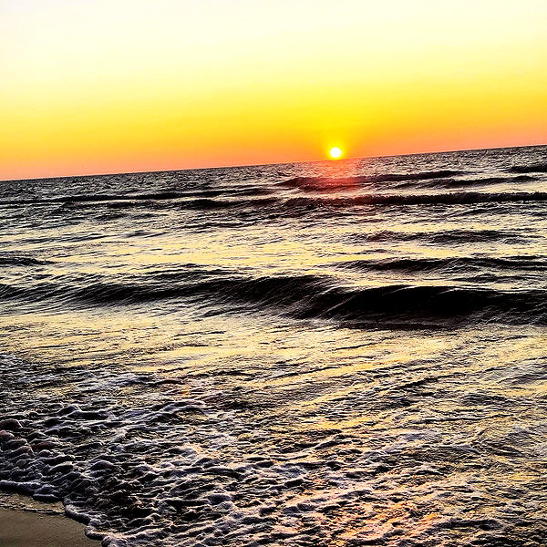 sonia_litvanchuk instagram image archive image