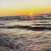 sonia_litvanchuk Altpins Profile Picture
