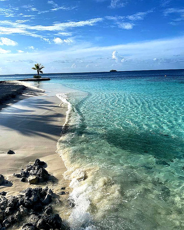 sonia_litvanchuk instagram image archive image