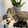 sonia_litvanchuk Altpins Profile Picture