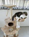 sonia_litvanchuk Altpins Profile Picture
