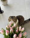 sonia_litvanchuk Altpins Profile Picture