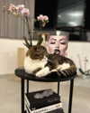 sonia_litvanchuk Altpins Profile Picture