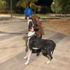 sophia.zadvor Altpins Profile Picture