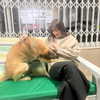 sophia.zadvor Altpins Profile Picture