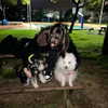 sophia.zadvor Altpins Profile Picture