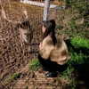 sophia.zadvor Altpins Profile Picture