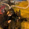 sophia.zadvor Altpins Profile Picture
