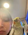 sophia.zadvor Altpins Profile Picture