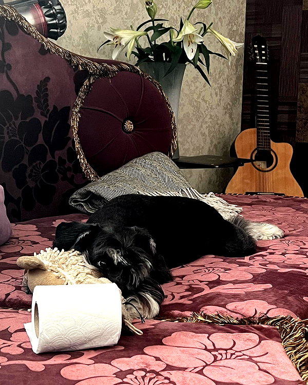 sophia.zadvor instagram image archive image