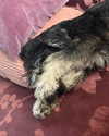 sophia.zadvor Altpins Profile Picture