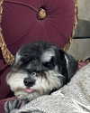 sophia.zadvor Altpins Profile Picture