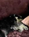 sophia.zadvor Altpins Profile Picture