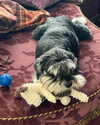 sophia.zadvor Altpins Profile Picture