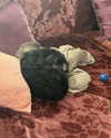 sophia.zadvor Altpins Profile Picture