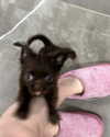 sophia.zadvor Altpins Profile Picture