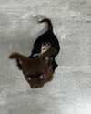 sophia.zadvor Altpins Profile Picture