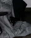 sophia.zadvor Altpins Profile Picture