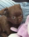 sophia.zadvor Altpins Profile Picture