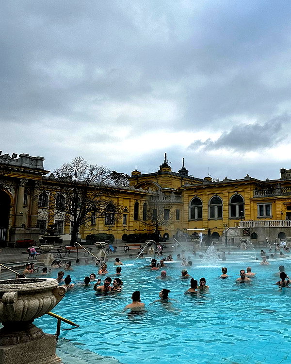 sophia.zadvor instagram image archive image