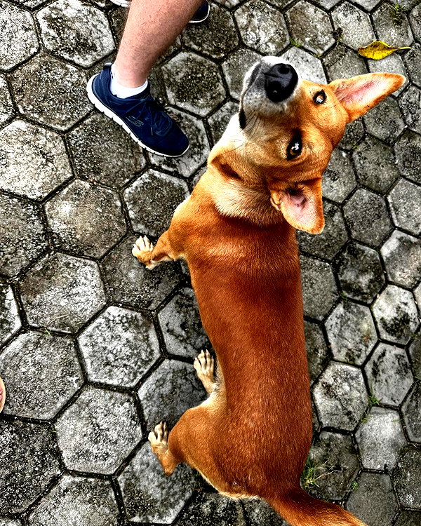 sophia.zadvor instagram image archive image