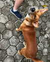 sophia.zadvor Altpins Profile Picture