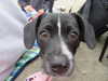 sophialyttle Altpins Profile Picture