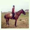 sophielaurenxxo Altpins Profile Picture