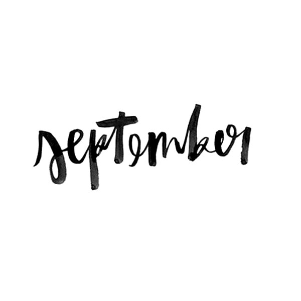 sophielaurenxxo instagram image archive image