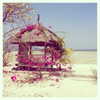 sophielaurenxxo Altpins Profile Picture