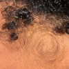 sorryiatetheapple Altpins Profile Picture