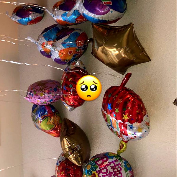 sorryiatetheapple instagram image archive image