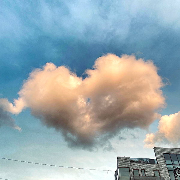 sorryiatetheapple instagram image archive image