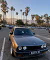 sorryiatetheapple Altpins Profile Picture