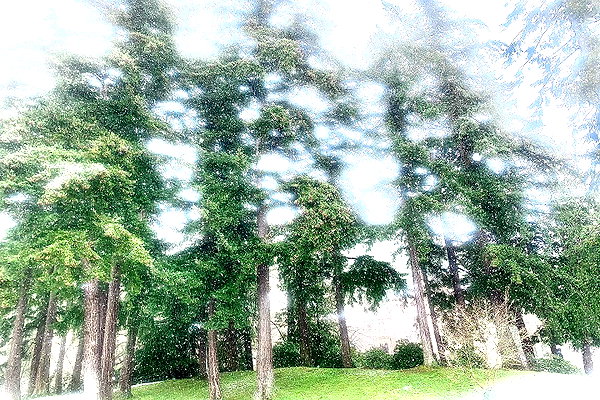 sorryiatetheapple instagram image archive image