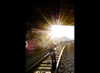 sorryiatetheapple Altpins Profile Picture