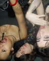sorryiatetheapple Altpins Profile Picture