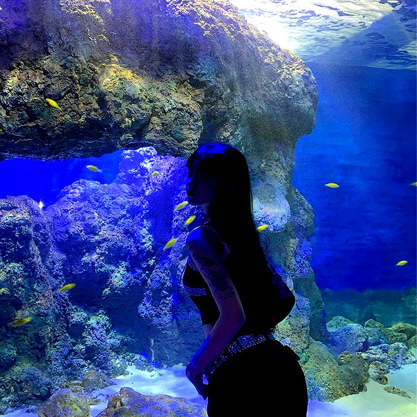 sorrylylyy instagram image archive image