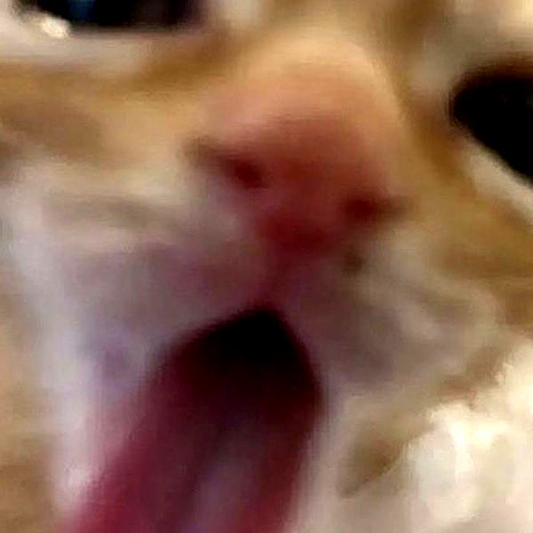 sorrylylyy instagram image archive image