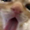 sorrylylyy Altpins Profile Picture