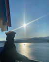 sorrylylyy Altpins Profile Picture