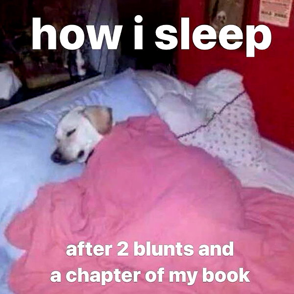 spicybunyyy_ instagram image archive image