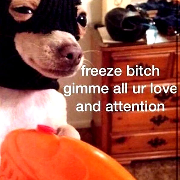 spicybunyyy_ instagram image archive image