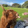 ssophiewalshh Altpins Profile Picture
