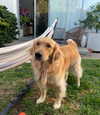 ssophiewalshh Altpins Profile Picture