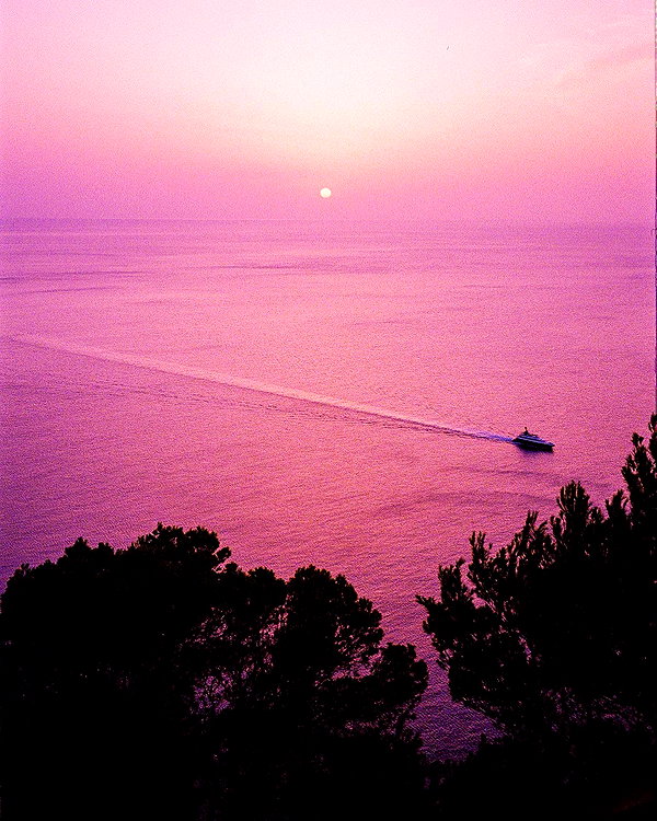 stateofrachel instagram image archive image