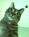 stine_stromskag Altpins Profile Picture