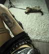 stine_stromskag Altpins Profile Picture