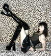 stine_stromskag Altpins Profile Picture