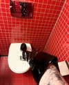 stine_stromskag Altpins Profile Picture